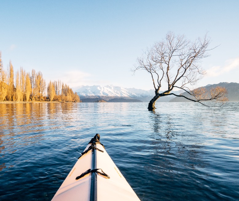 Lake Wanaka Kayak That Wanaka Tree